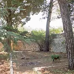 Apartmán Dependance