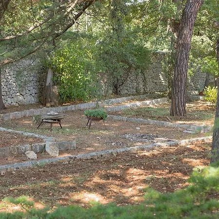 Dependance * 폴리나노 아마레