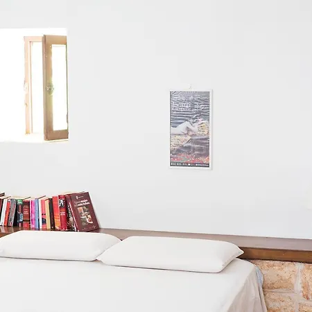 Dependance * 폴리나노 아마레